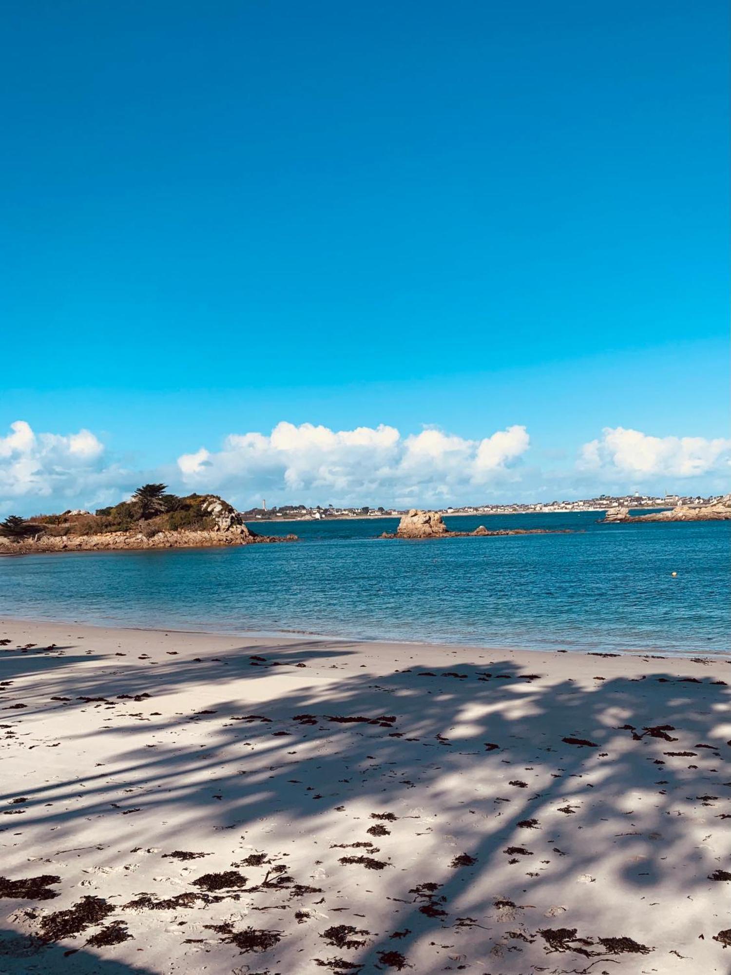 Studio Vue Sur Mer Avec Veranda - Roscoff Apartment Ngoại thất bức ảnh